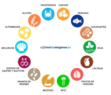 ¿Cuáles son las alergias alimentarias más comunes?